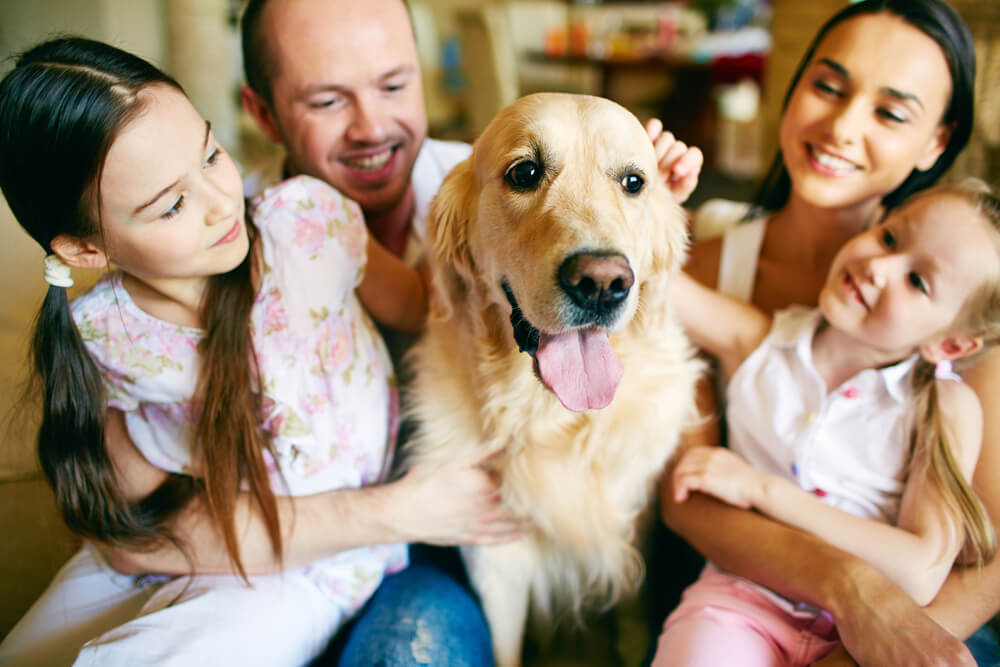 Beneficios de tener una mascota en tu vida Beneficios de tener una mascota en tu vida